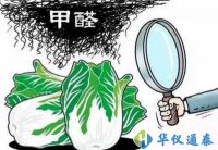 食品甲醛檢測儀“上陣”保障飲食安全 可實現快速、精準地檢測