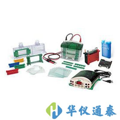 美國伯樂Bio-Rad 1658033垂直電泳轉印系統套裝