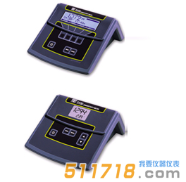 美國(guó)YSI 3100 