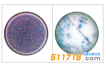 法國interscience Scan 300全自動菌落計數器1.png