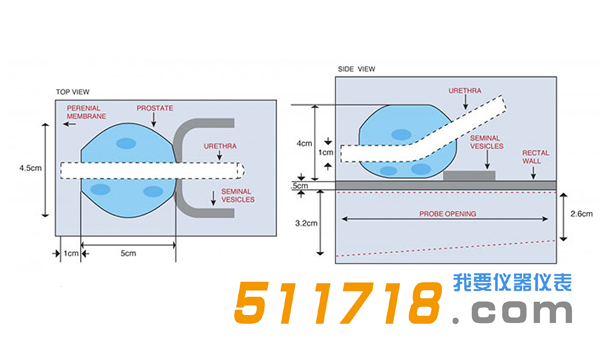 美國(guó)CIRS 053S 053L 053L-EF前列腺M(fèi)RI測(cè)試體模1.png