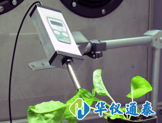 葉綠素測定儀的使用步驟和注意事項.png